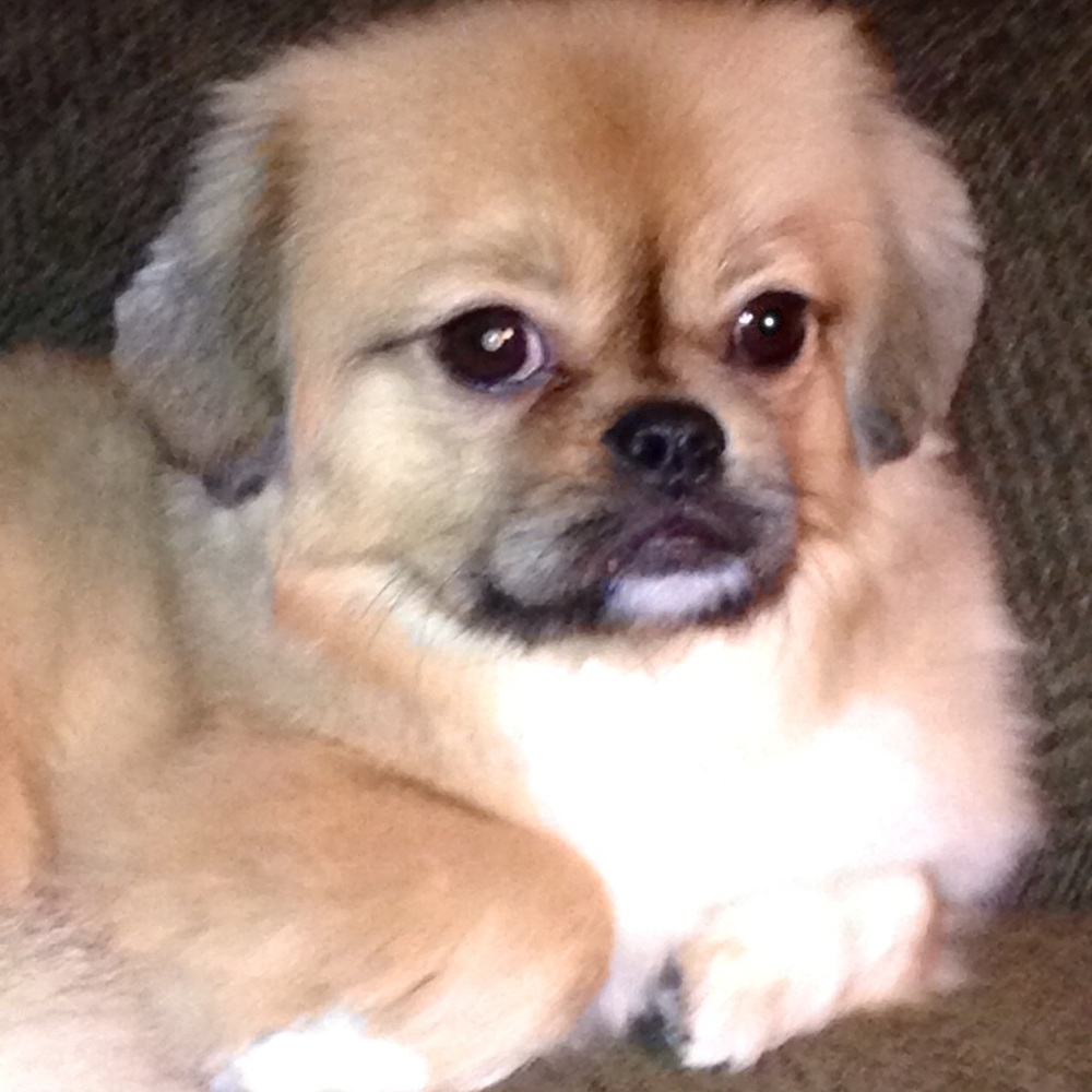 Meet your Posher, Rhonda